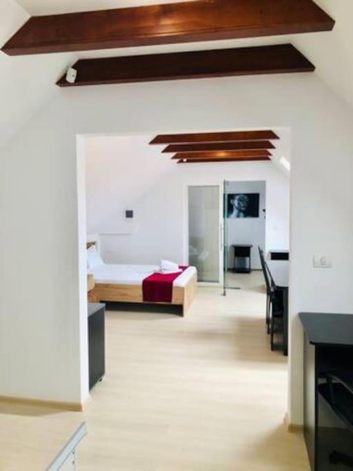 Joy City Stay Unirii 41 2 Timisoara Luaran gambar